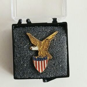 Gold Eagle Shield Enamel Lapel Pin with American Shield
